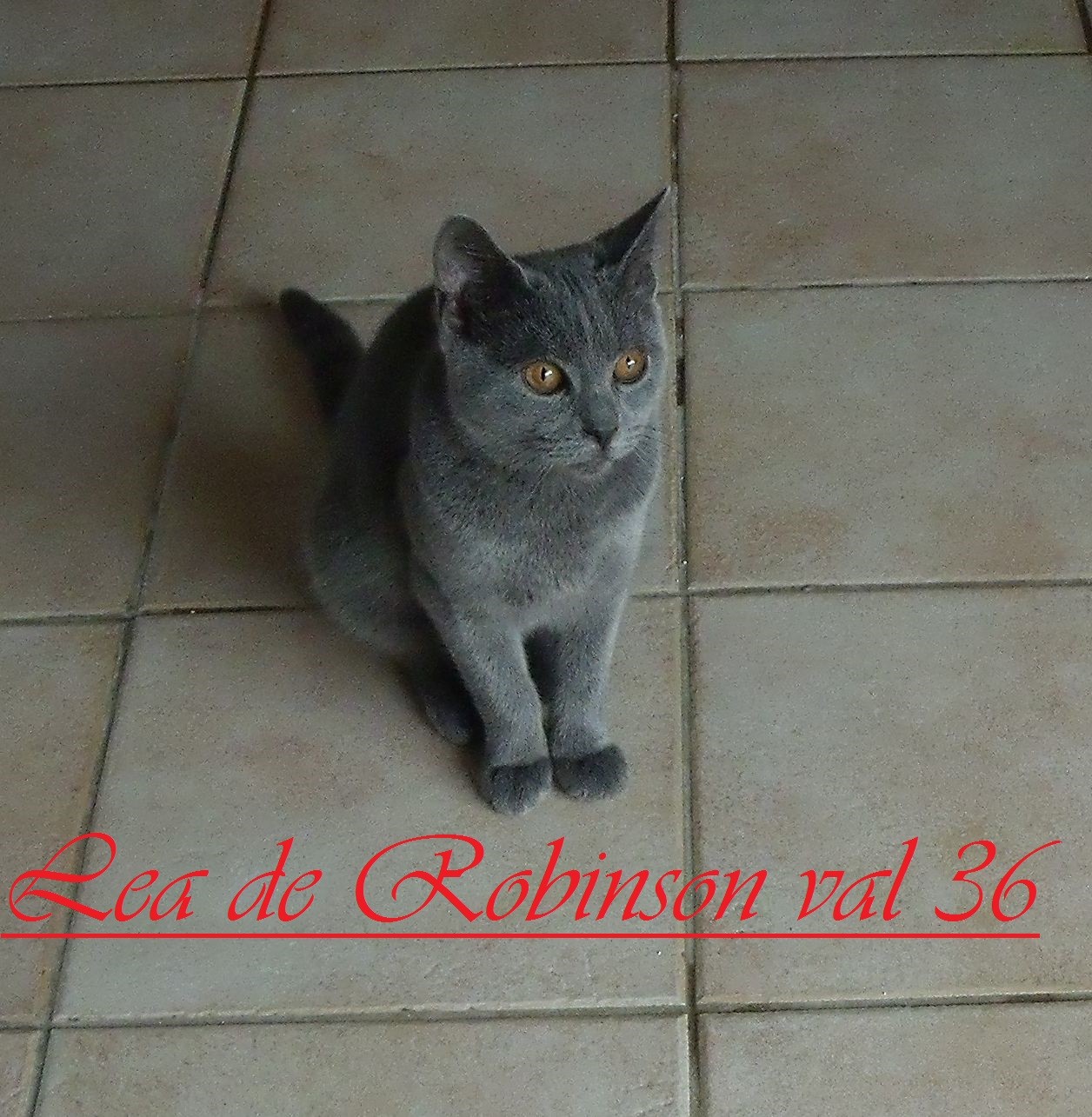 Léa de Robinson