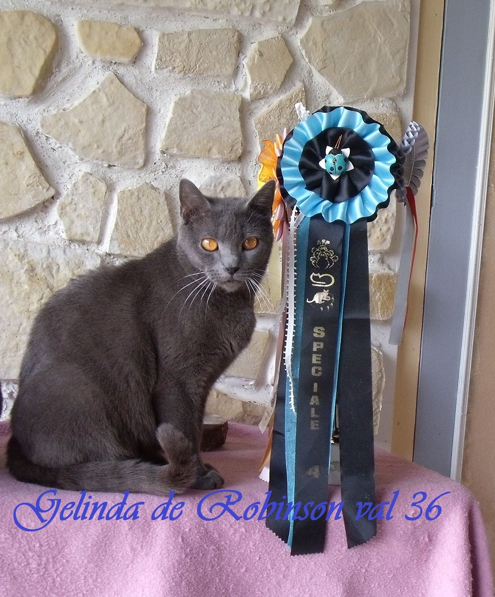 Gélinda prix spécial