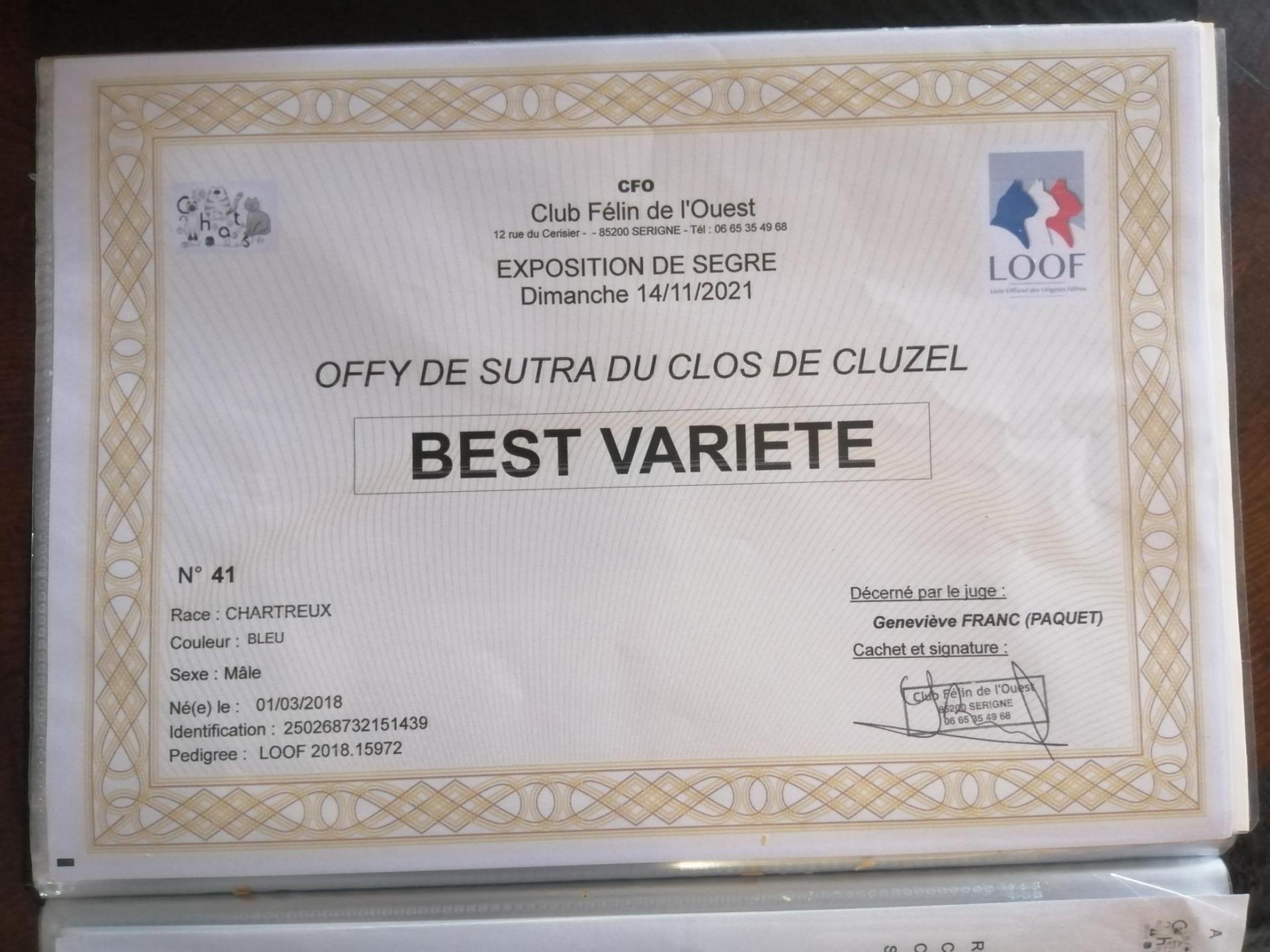 Best variete offy